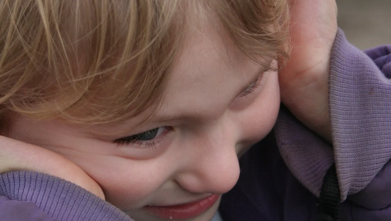 meltdown 1312488 1920 e1464875858367