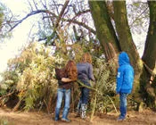 metmfcyfj5f6p297nlxmqece3 57405