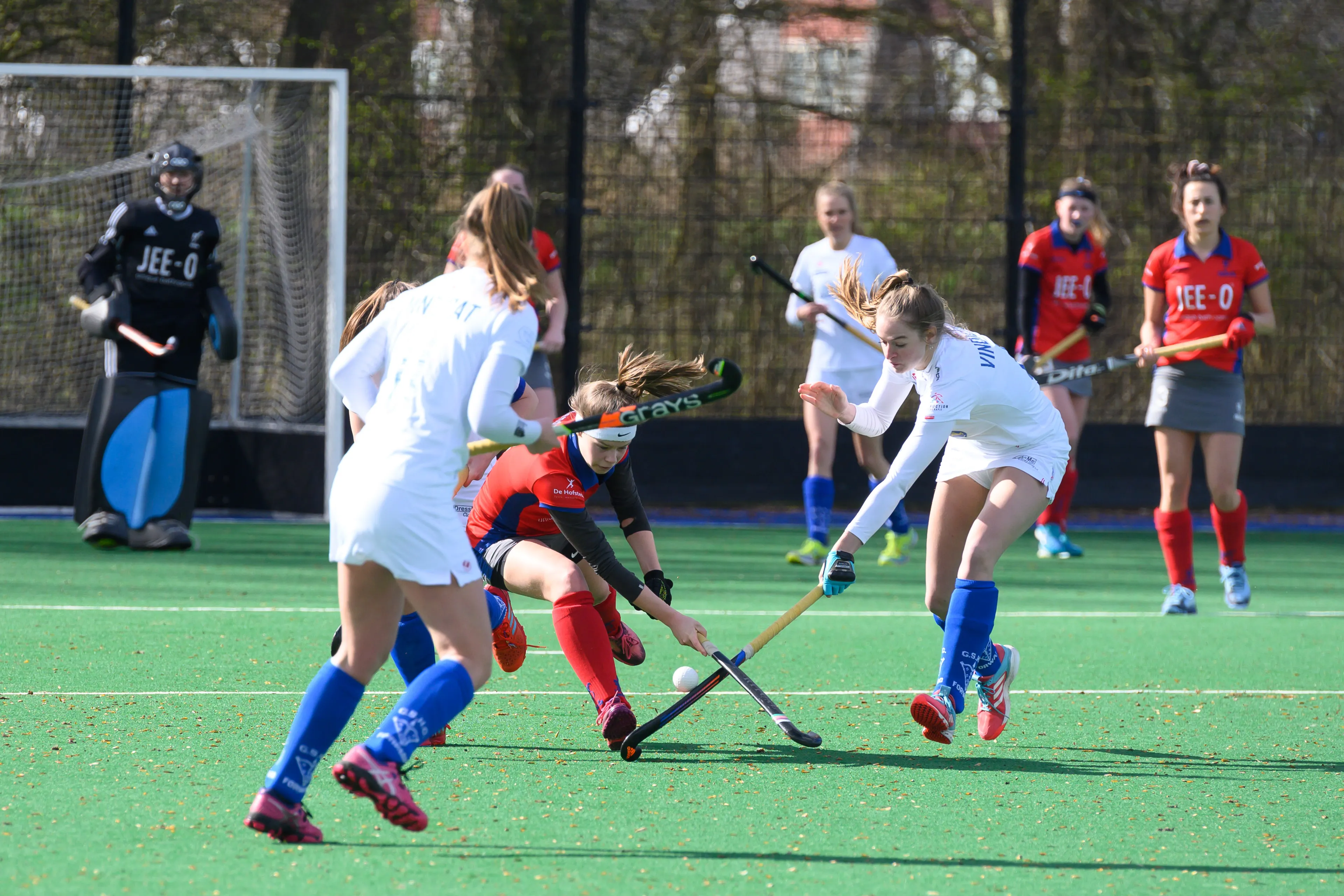 mhcb d1 20190317 137