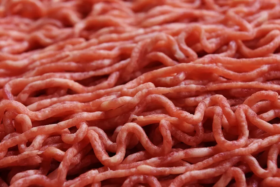 minced meat 1747910 960 720