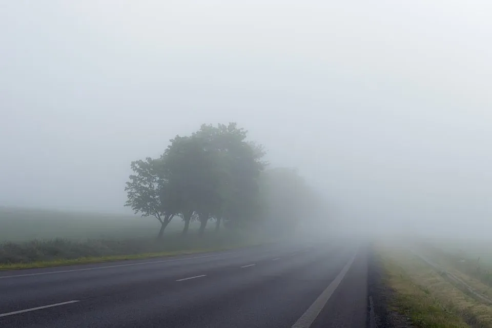misty 1208267 960 720