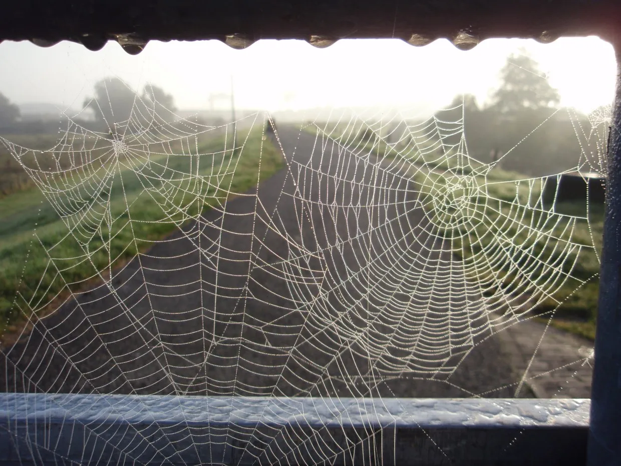 mjotdwv8wu1gn45oso8w7xynq fotodijkmagazijn2014 11 26winterspinnen