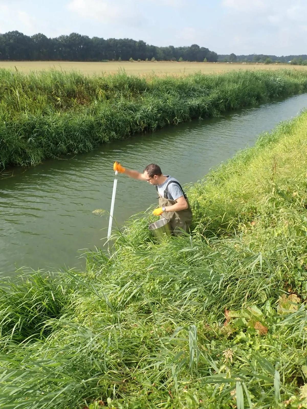 monsterafname blauwalg 2e6e117f 3bec 4b6c 8370 27561360ce88