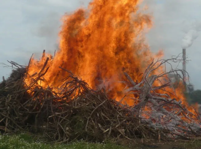 mx53x4kwpajeftjhp88it41jn 71651