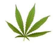 ochn3w7tabn6oqzckgt1zig9f 44538