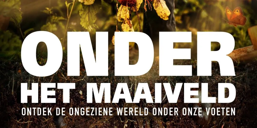 onder het maaiveld