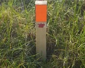 p4iymiwngpk45eeebnfc9srl3 21226