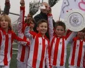 pmoiewa73se2je4jeqjy8tawv 190068