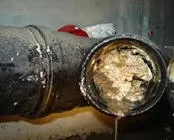 q0kuyytuvdfbwt96x1kqwd43v 56198