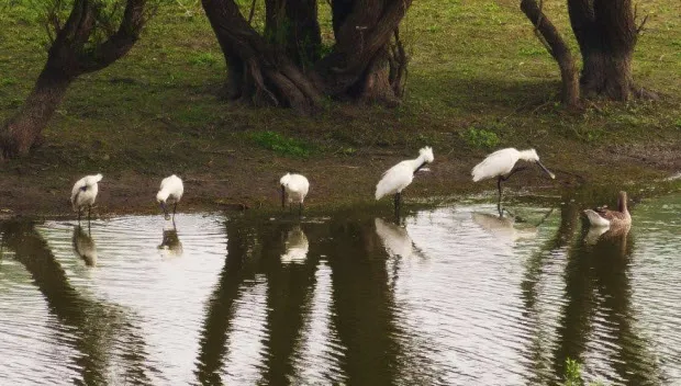 q46f1qqcopzajpa3s5akh708z fotodijkmagazijnbeuningen vroegelepelaars