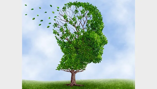 qingogym5sv3e9zs8ufqb5nsl dementie