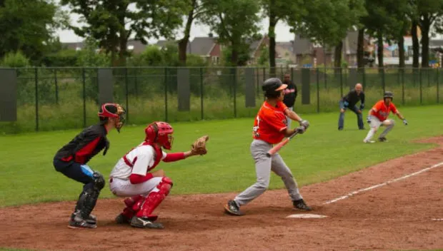 qop5zmoulj8jf108s4vcrd09b honkbal2