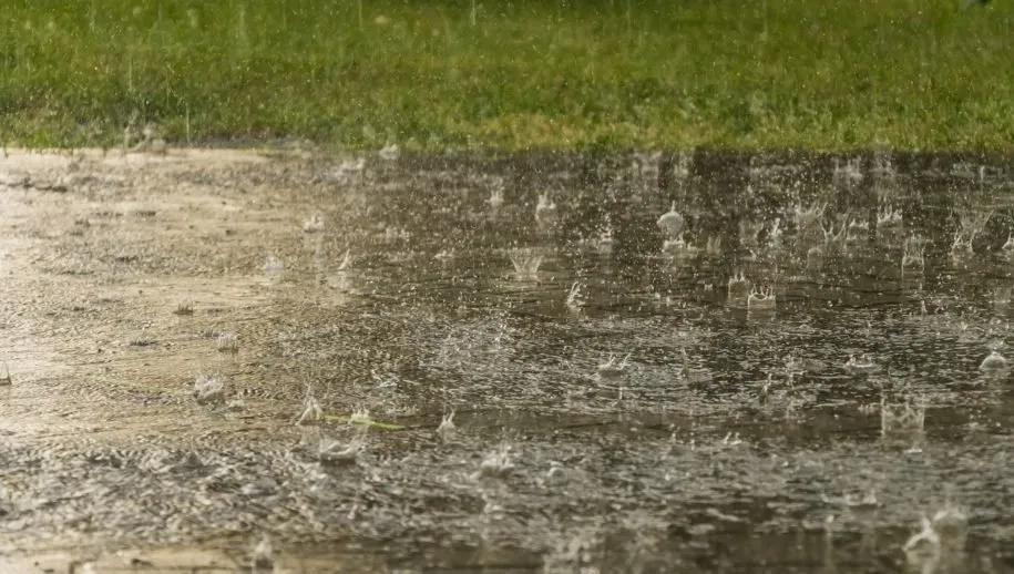 rain 3954273 1280 regen 915x518