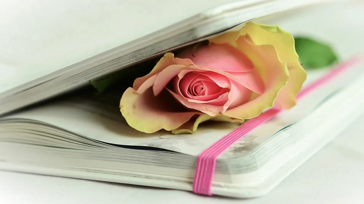 rose 764267 1280 e1432845996338