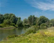 rt5a7ip1t14sheaop7384cvqq 14130