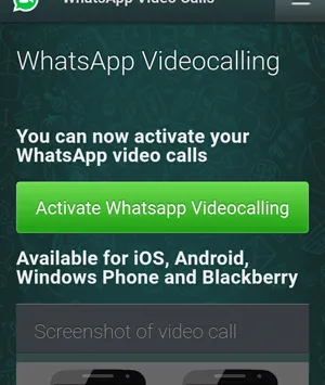 scamvideocall1 300x355