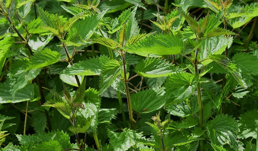 schermafbeelding 2017 09 19 om 123836