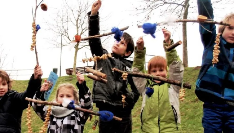 smulketting voor vogels 896x511