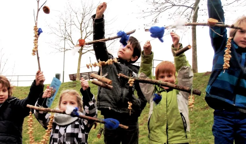smulketting voor vogels