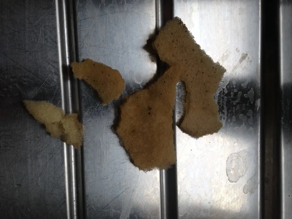 spons blessinglaan ewijk e1460752743133