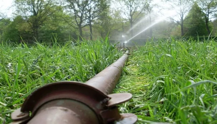 spraying 294628 960 720 715x408