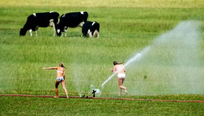 sproeiverbod overdag in rivierenland 715x408