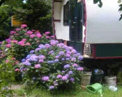 sscdj35vtwxbrjghcghksnuzy 218021