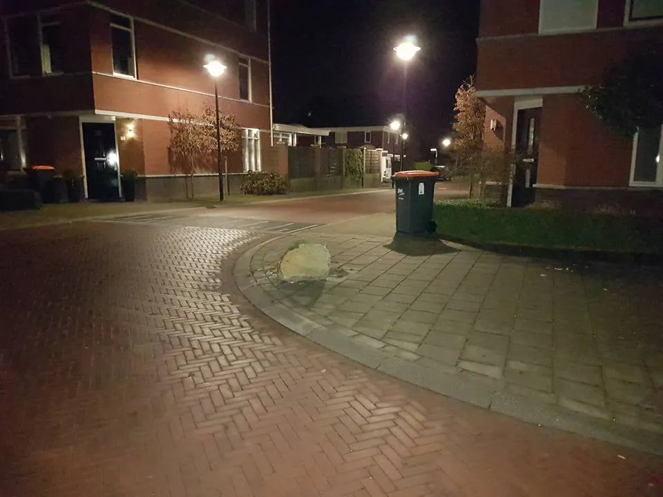 steen lagunasingel beuningen