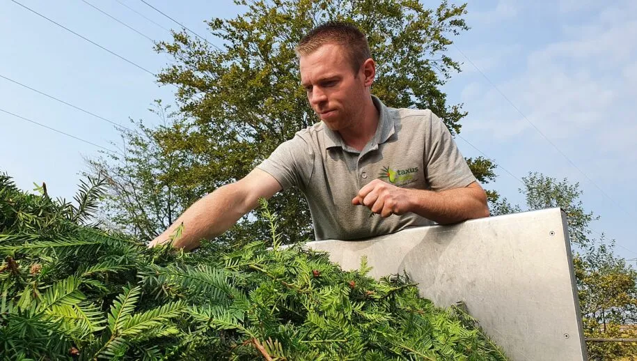 stichting taxux taxi 915x518 1