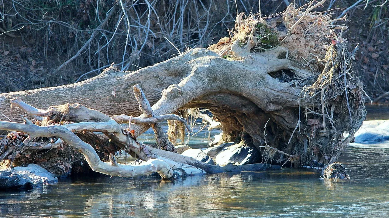 storm damage 67004 1280 e1437861502456
