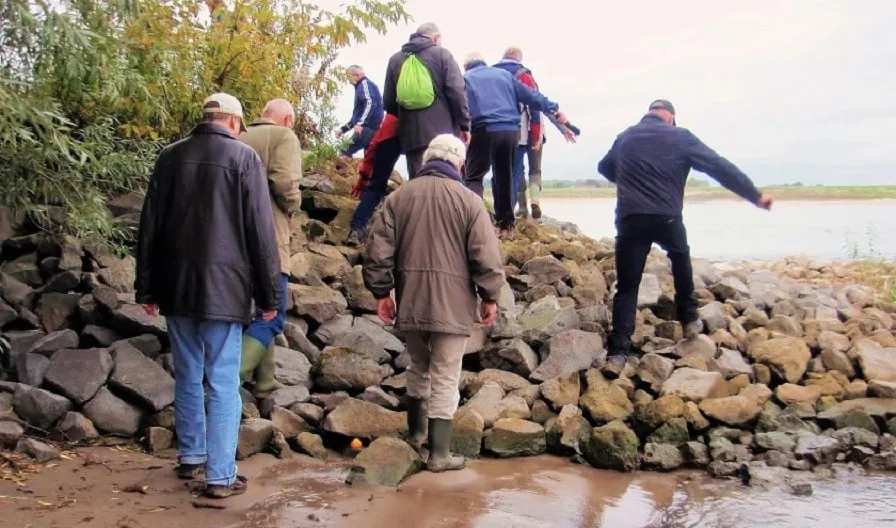 struintocht door beuningse uiterwaarden 896x528