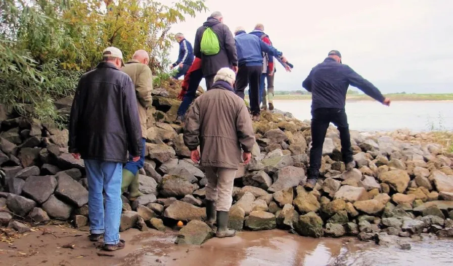 struintocht door beuningse uiterwaarden 896x528