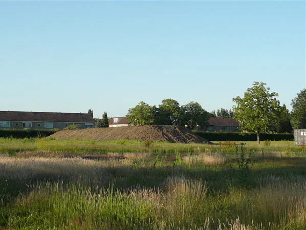 t4euf54s7ecbfrxcssp8zonlx 73113