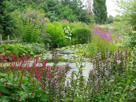 t8861e79eoubrvx7jmjkobkh0 vijver dldeconinckshof aug 2014 496x352