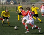 t9ml6b6r3o6u688e3hvvw7x7t 57804