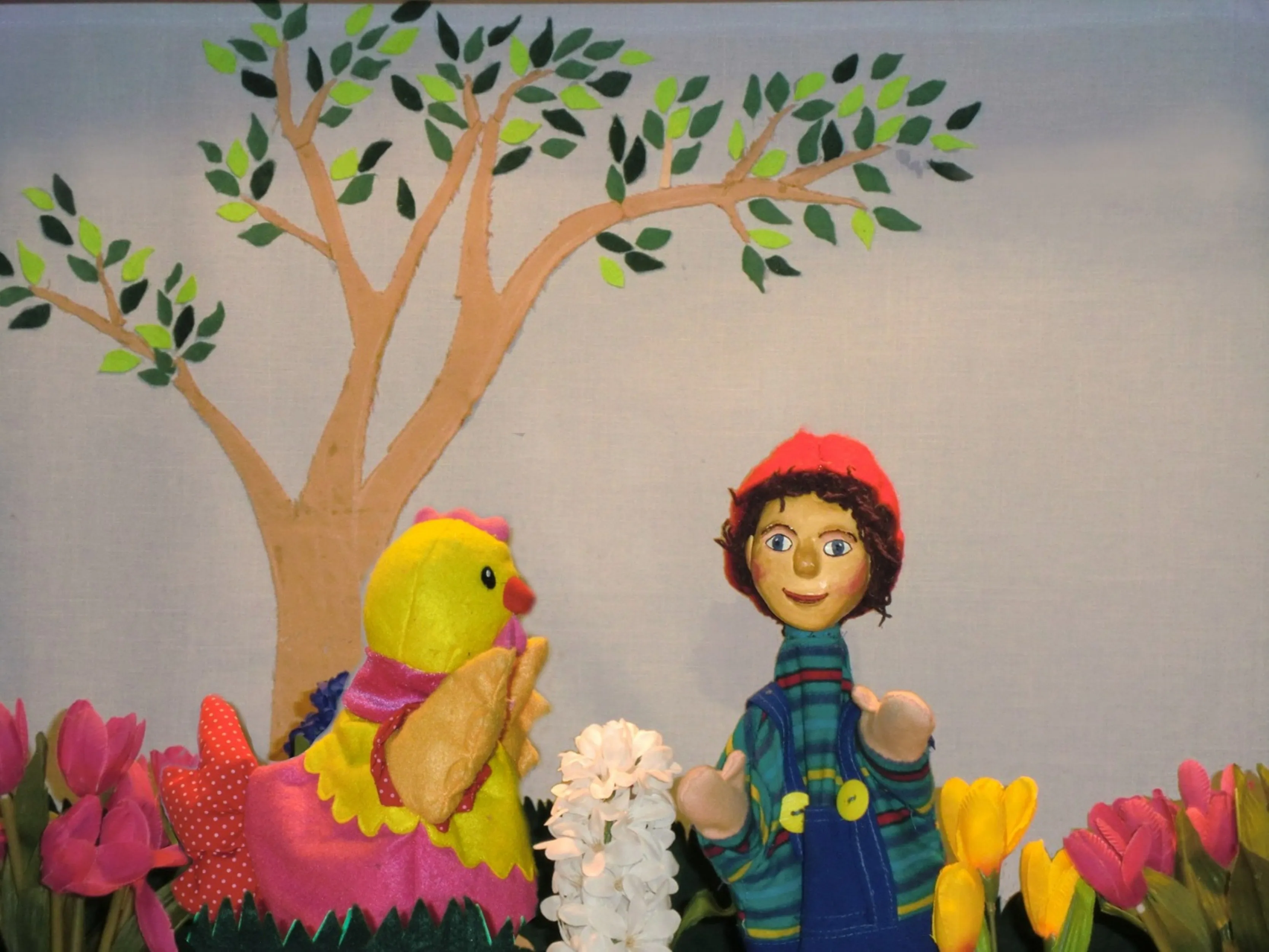 tingeling en kip cato