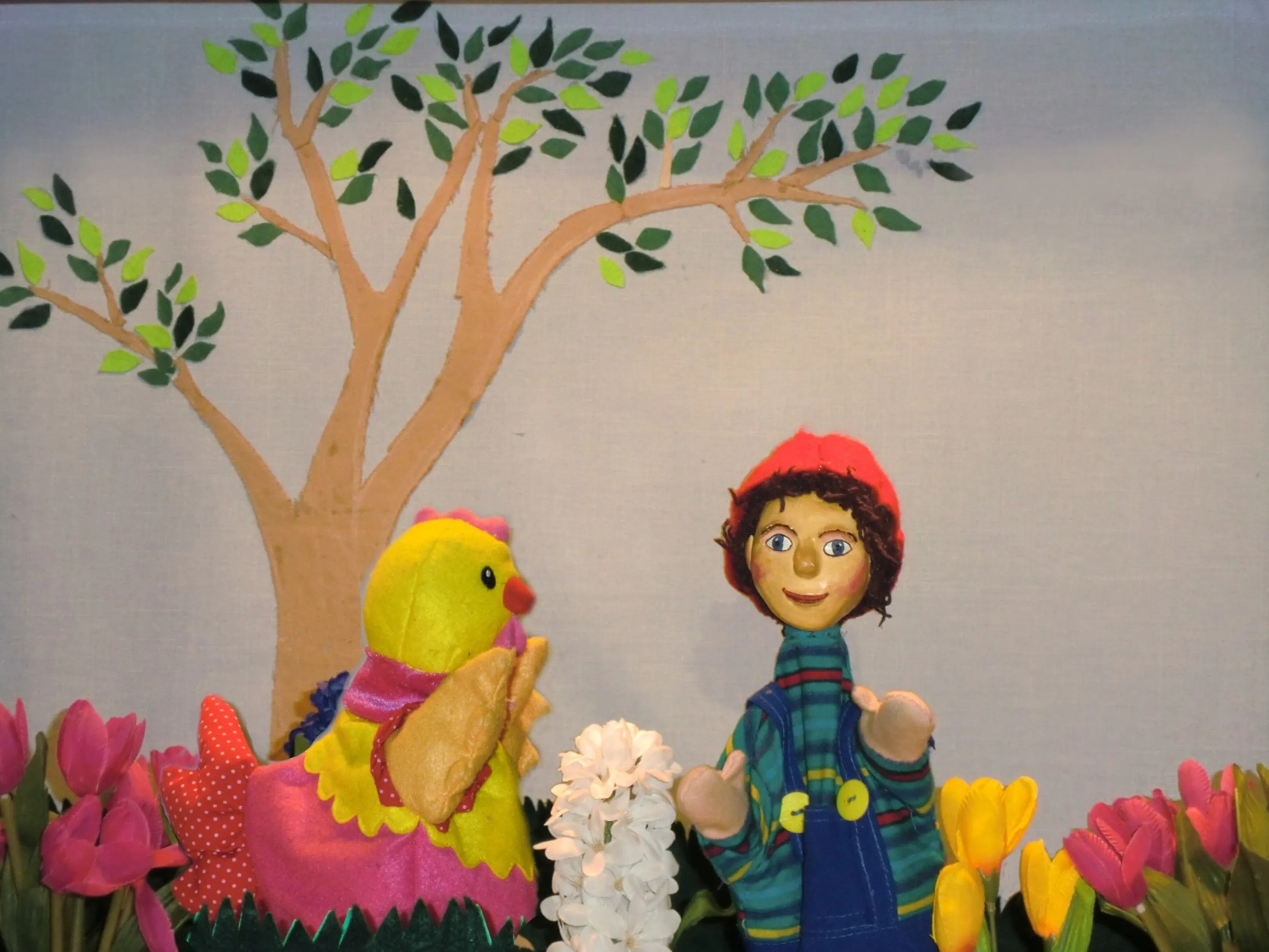 tingeling en kip cato