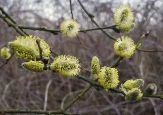 u514fa254yp8qbqzqlhzzzclu 6841