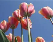 ub28p4j6bcv1wljld3bd7h67r 54055