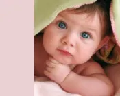 ub2sg20pnx8s529ygpri7w0dm 81911