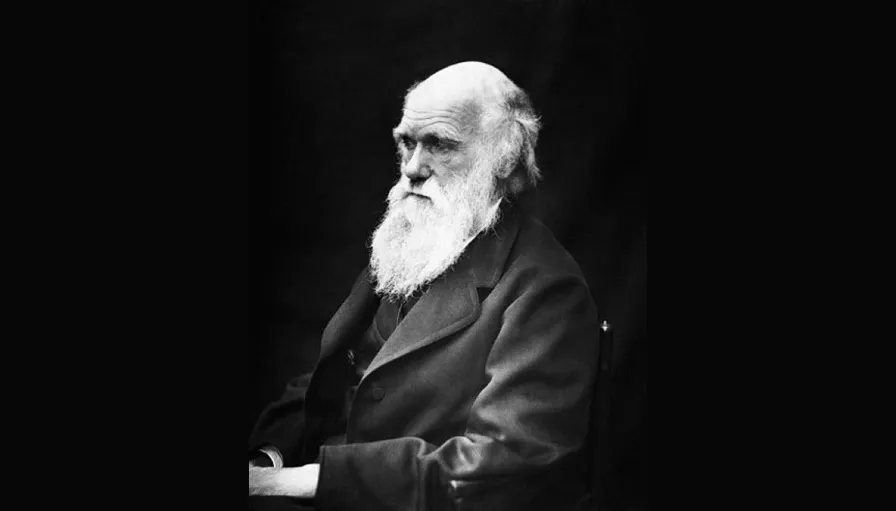 universiteit van beuningen het conflict tussen darwin en de kerk