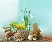 uzbm5knbgie8m0cyd0vgj9j15 136434