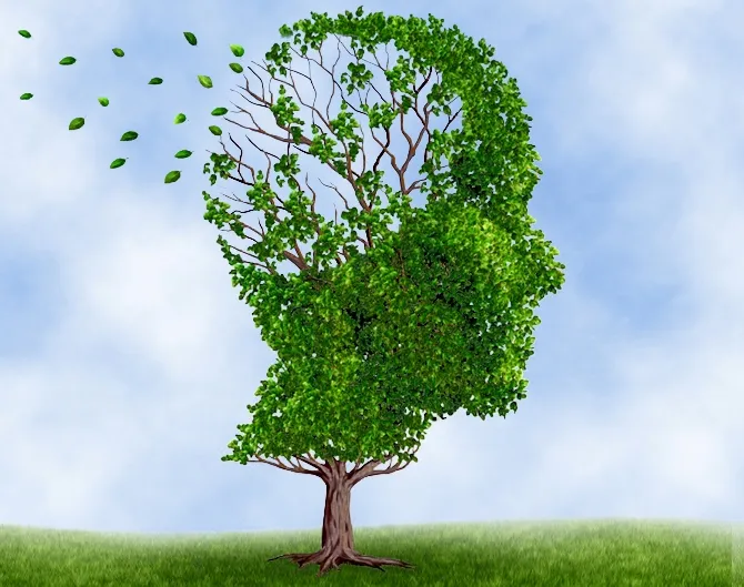 v17yea7vgo3m8bedy7wvrus3n dementie 2