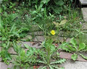 v3xqzb92ihhg3vibl2lly6h57 72364