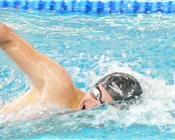 vdvrafns11r46yvp71jmnxc19 62235