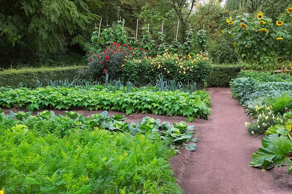 vegetable garden 4518951 960 720