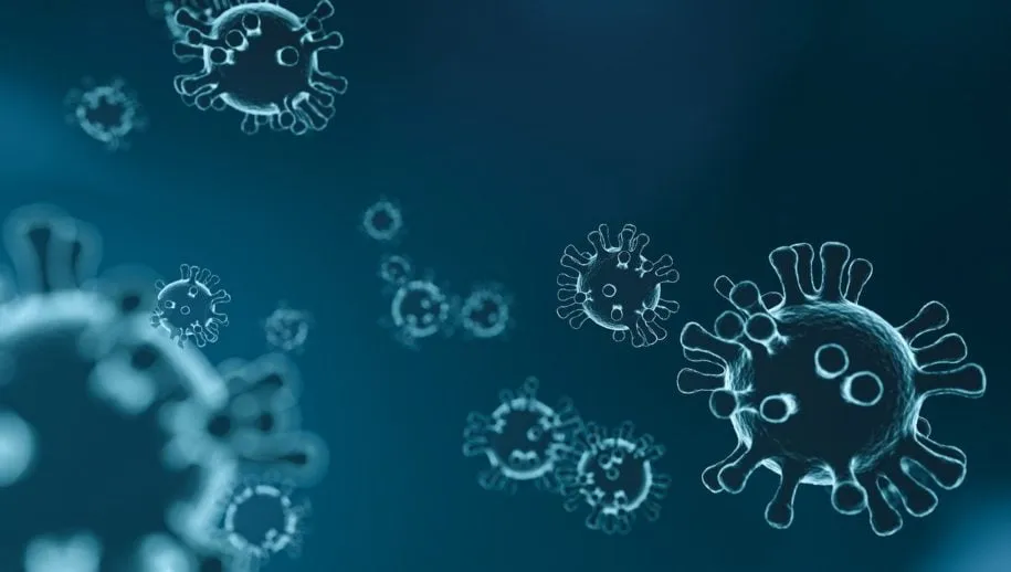 virus 4835301 1280 915x518