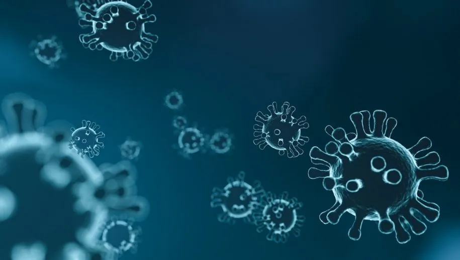 virus 4835301 1280 915x518