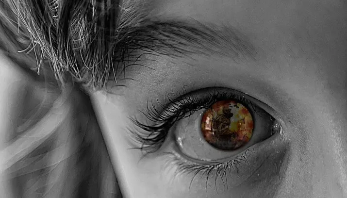 vluchteling asielzoeker oorlog hq pixabay publiek domein 715x408