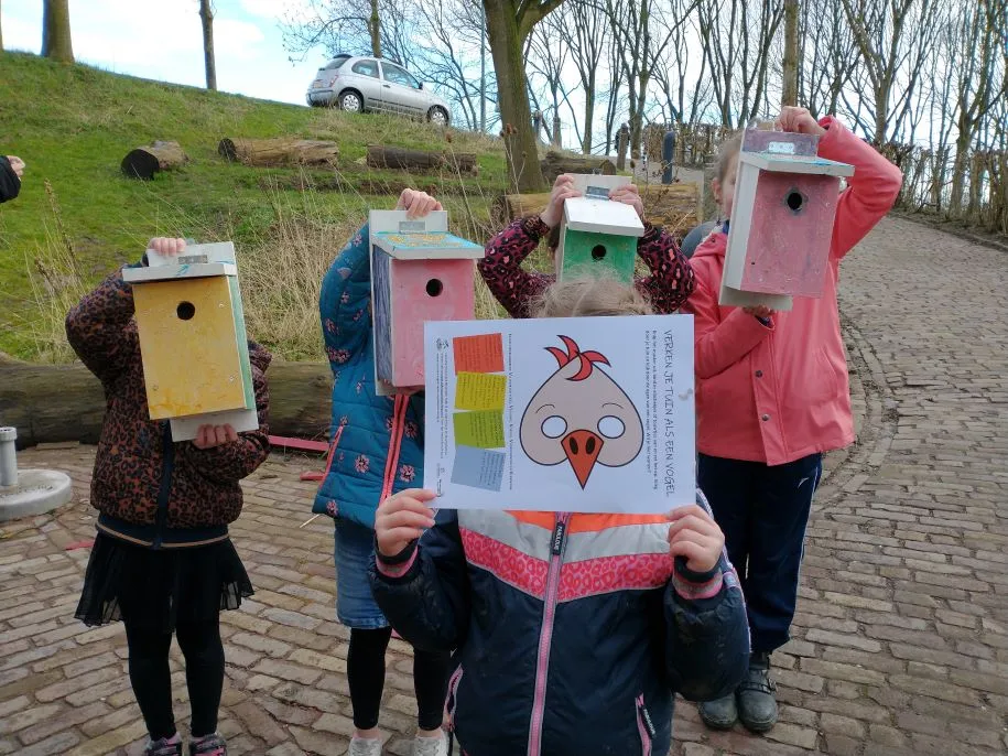 vogelnestkastjes